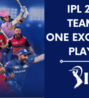 یک بازیکن عالی IPL Team